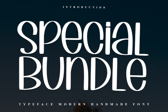 Special Bundle Font for Brand Identity